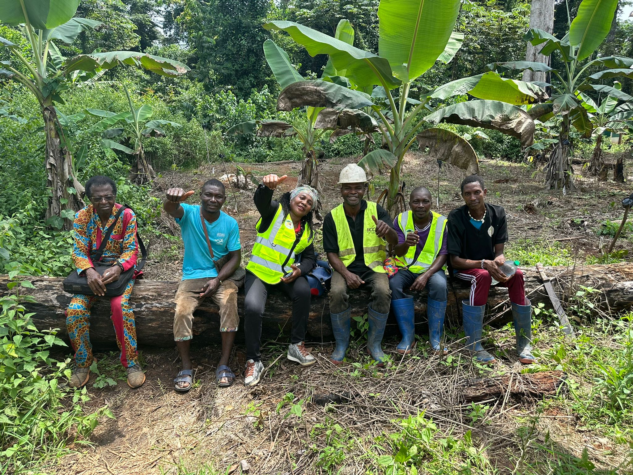 Wat keurmerken beloven – en niet waarmaken