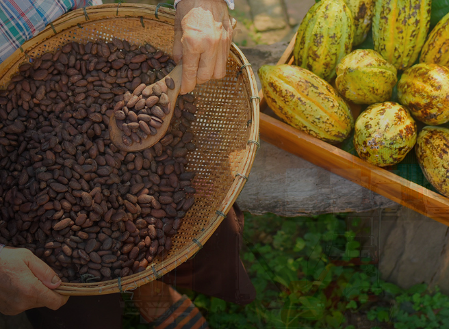 Single origin Kameroen - Chocolade schaafsel 72% - per 100g